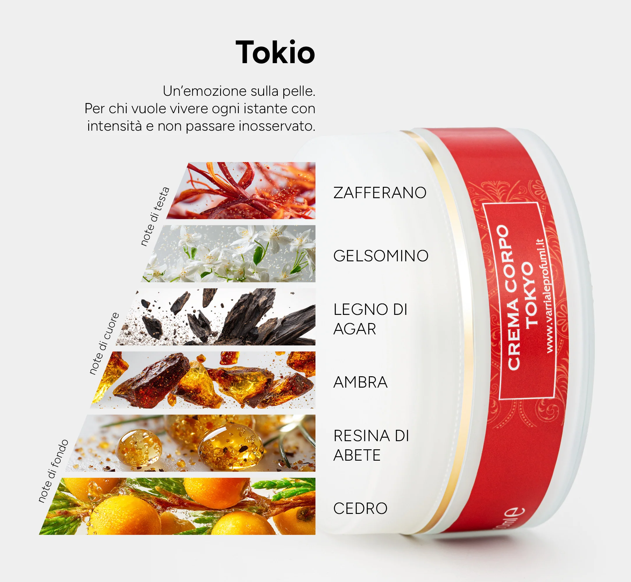Crema corpo Tokyo - Image 3
