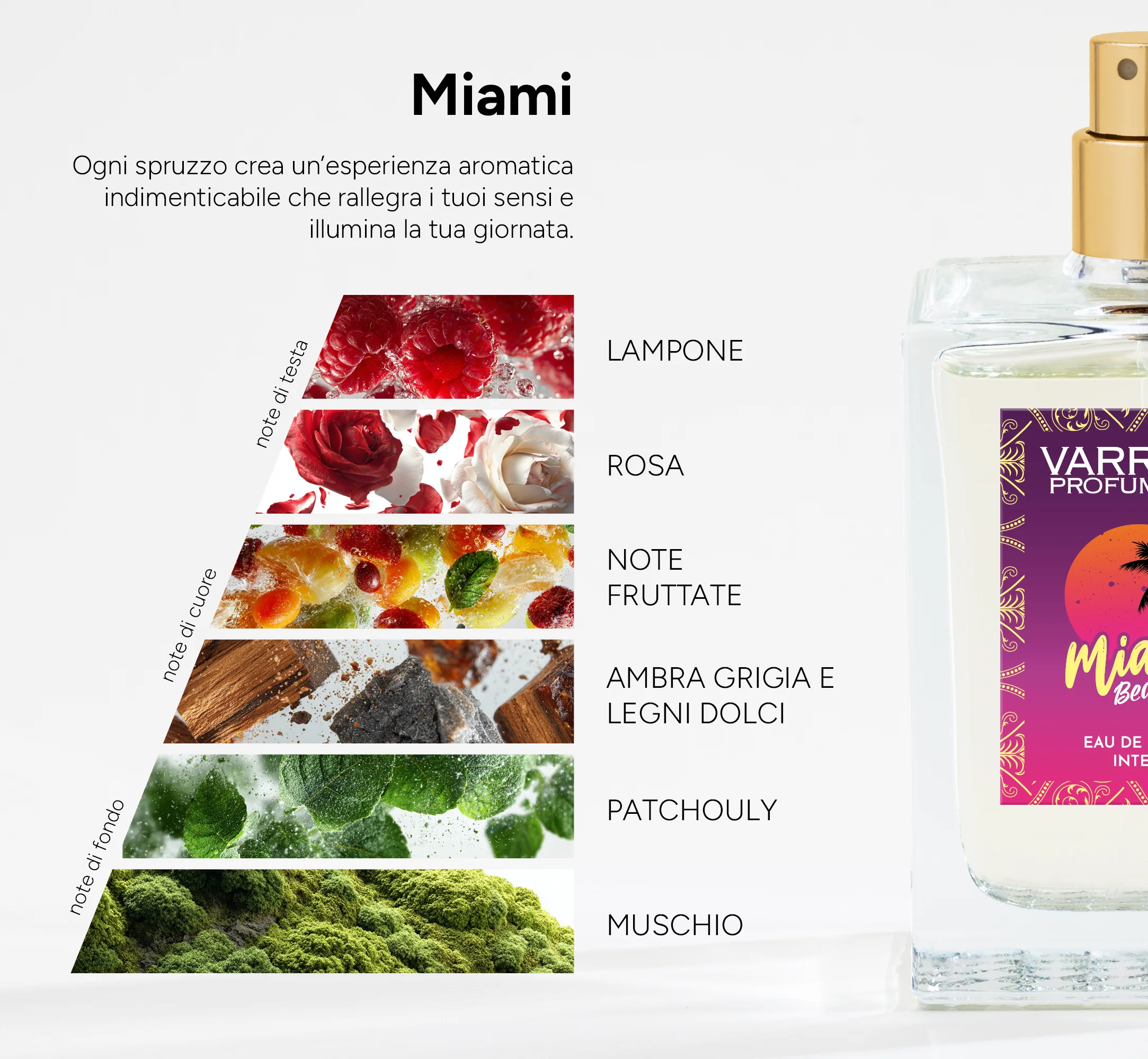 Miami - Image 2