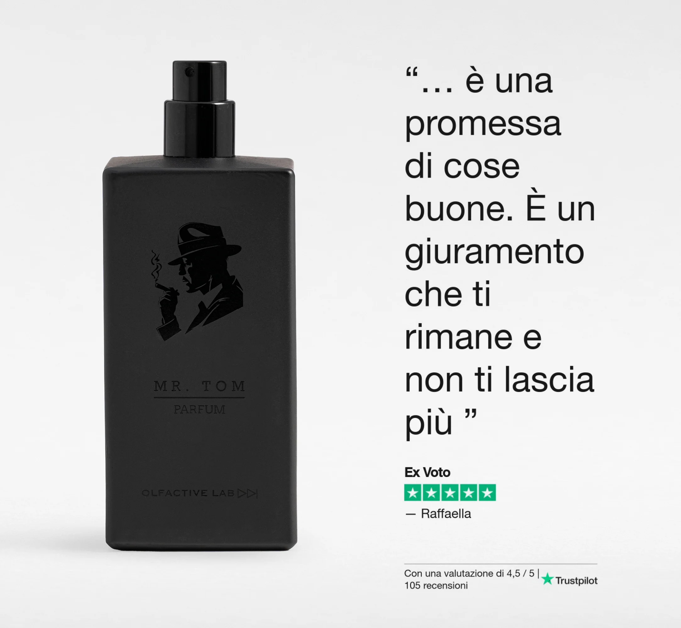 Mr Tom - Image 6